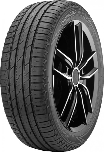 Летние шины Ikon Character Aqua SUV 245/70 R16 107T