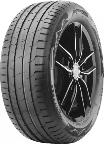 Летние шины Ikon Autograph Ultra 2 SUV 265/50 R19 110Y