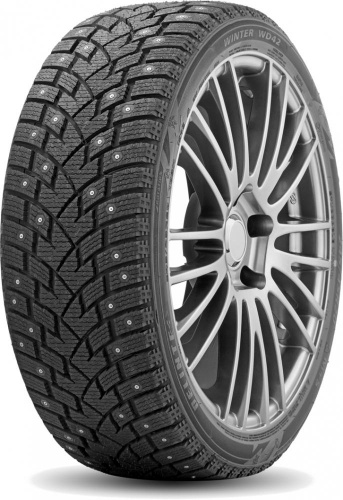 Зимние шины Delinte Winter WD42 235/65 R16C 121R (шип)