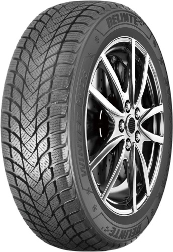 Зимние шины Delinte Winter WD6 225/60 R18 100T